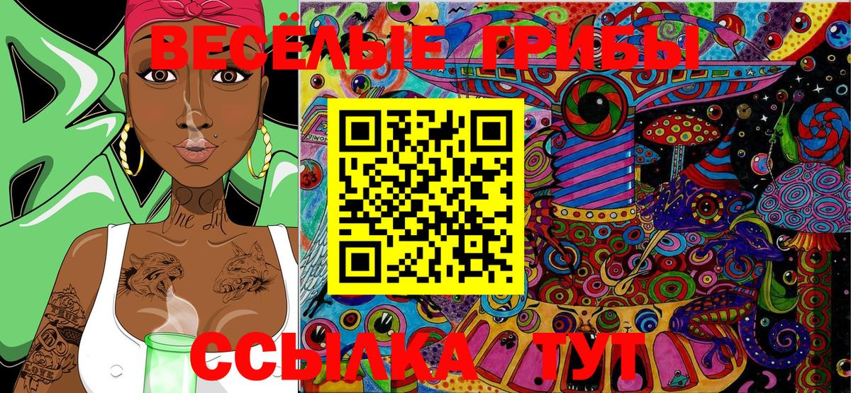 Галлюциногенные грибы MAGIC MUSHROOMS  Вход с VPN  купить   Карачаевск 